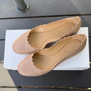 Chloe Lauren ballet flat in Pink Tea. Size 6.5